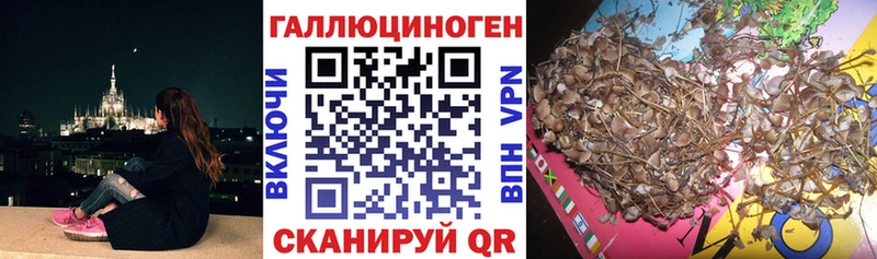 Галлюциногенные грибы GOLDEN TEACHER  Соликамск 